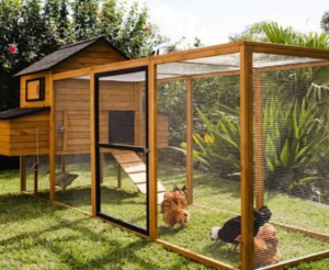 Agriculture & Animal Husbandry