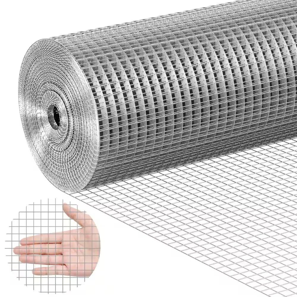 Galvanized Welded Wire Mesh